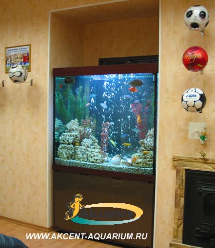 Акцент-аквариум,аквариум 800 литров прямоугольный